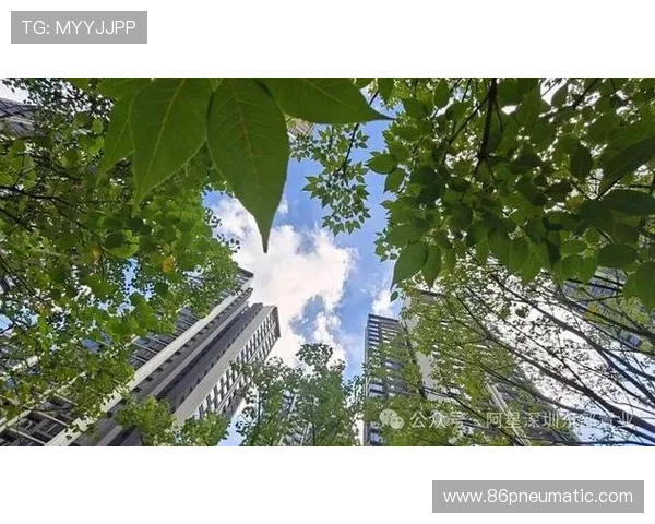 稳定流畅的百家乐游戏下载方法,让你无忧畅玩每一局 稳定流畅的百家乐游戏下载方法,让你无忧畅玩每一局